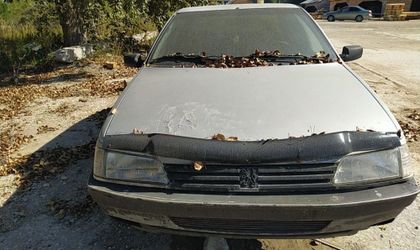 Peugeot 405 1988